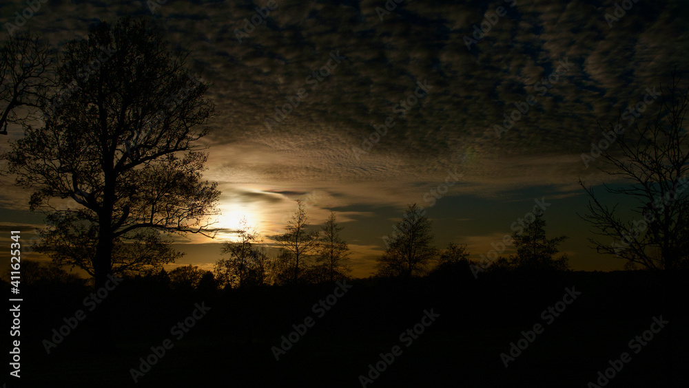 Sunset scene showing sun glowing against clouds with trees in panorama