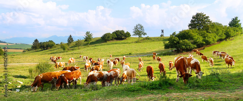 Cow herd on the meadow with hunter tower in the background. Liptov panorama - Low Tatras (Nizke Tatry) and Liptovska Mara water lake reservoir. Summertime in the Slovak Republic, Europe. photo