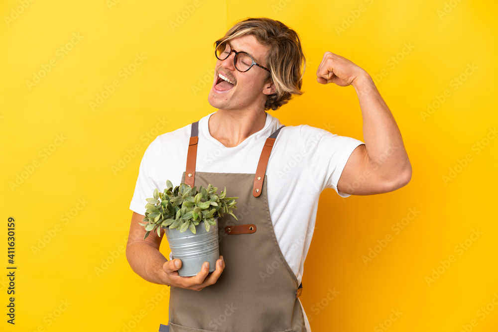 Gardener blonde man holding a plant isolated on yellow background celebrating a victory Gardener blonde man holding a plant isolated on yellow background celebrating a victory
