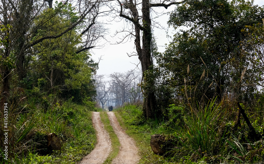 Empty safari rural road Chitwan national park jungle in Nepal Empty safari rural road Chitwan national park jungle in Nepal