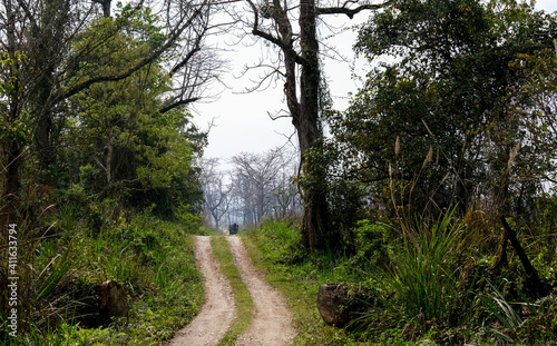 Empty safari rural road Chitwan national park jungle in Nepal