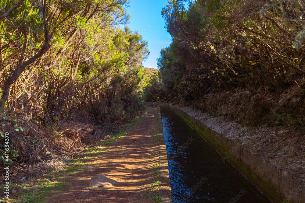 Naklejka premium levada do alecrim