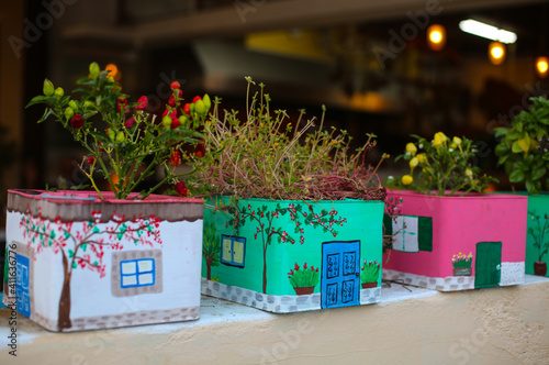 Fototapeta Naklejka Na Ścianę i Meble -  Beautiful plants growing in cute handmade decorated, painted pots on streets of Rhodes Island, Greece. Exterior decor for outside spaces. Decorative rustic creative ideas for garden. 
