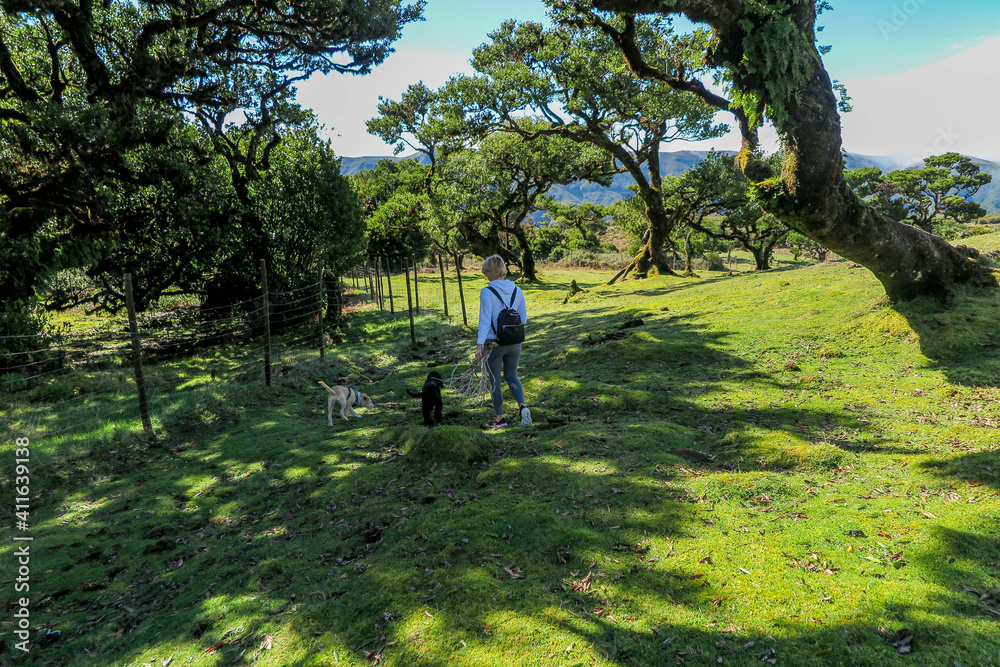 Mulher passeia com cães na natureza