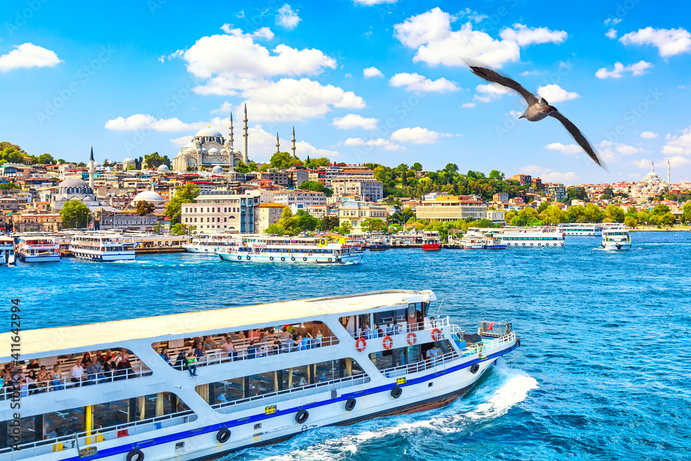 Fototapeta premium Touristic sightseeing ships in Golden Horn bay of Istanbul and view on Suleymaniye mosque with Sultanahmet district. Seagull on the foreground. Istanbul, Turkey during sunny summer day.