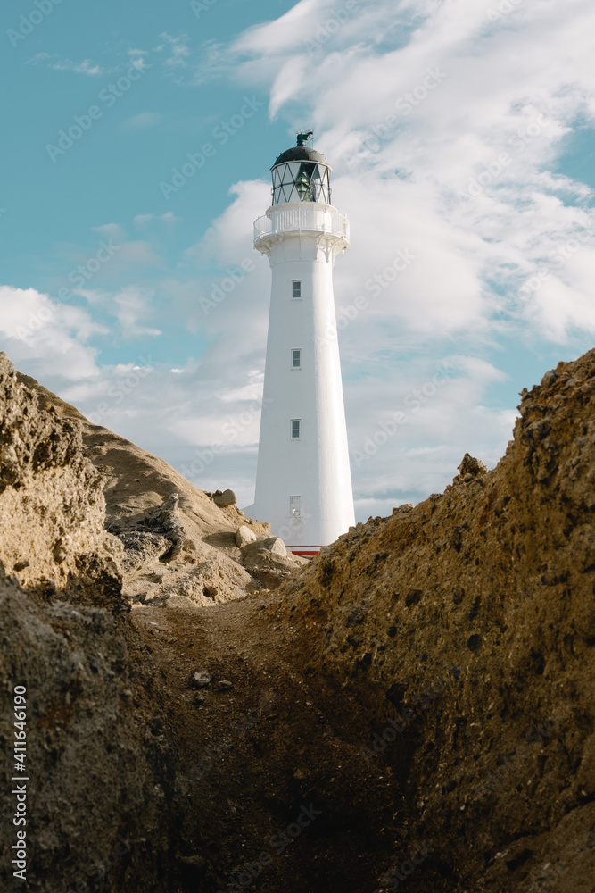 Lighthouse in the cliffs in Castle Point, New Zealand landscape