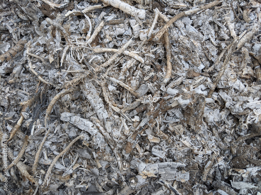 Burned plant ashes, gray ash texture background Burned plant ashes, gray ash texture background