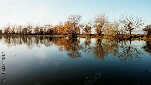 reflection in the water