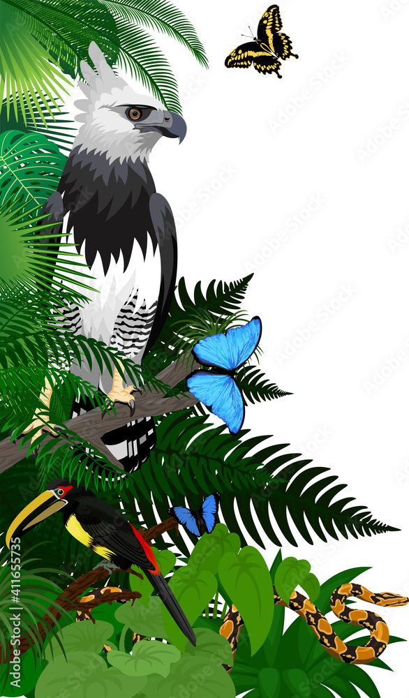 Fototapeta premium Vector jungle rainforest foliage vertical border illustration with Harpy Eagle, python, aracari toucanet and butterflies