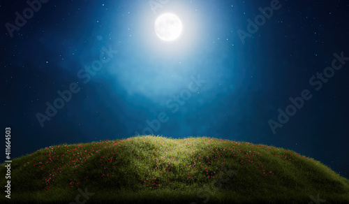 Beautiful full moon and grass background with sky full of starts. Product display