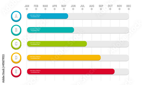 Project Timeline Infographics, 12 months timeframe and milestones