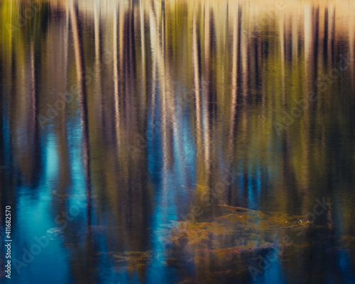 Reflection of trees and blue sky in a lake, abstract photo
