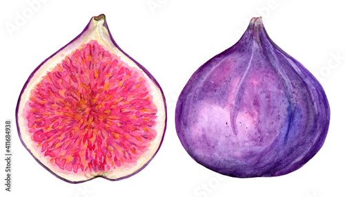 Ripe figs in watercolor, whole and cut, juicy illustration. Clipart fruits on a white background.