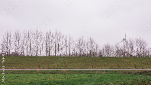 Green field graas and road, dutch landscape countryside in Heenvliet in South Holland, the Netherlands photo