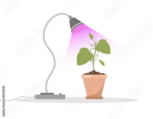 Spring seedlings in pots under phyto lamp. Growing gardening plants with purple light. Vegetarian and ecological products. Vector illustration in flat cartoon style. Plant care concept.