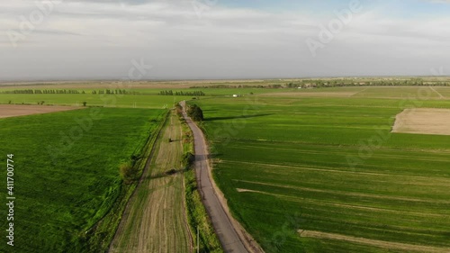 Colorful green fields. Rural road. Aerial video. Spring landscape.