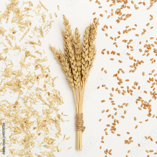 Bunch of ripe wheat ears close up and seeds, chaff on white background. Creative autumn harvest of grain crops