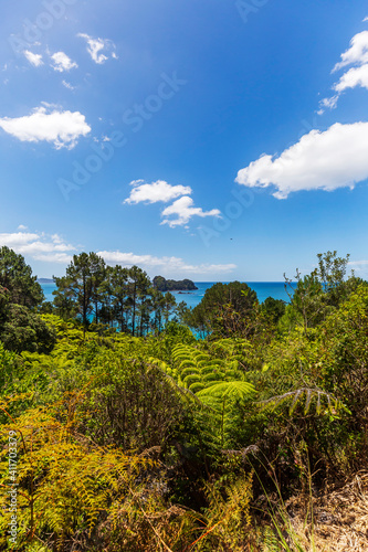 Coromandel Peninsula, North Island, New Zealand