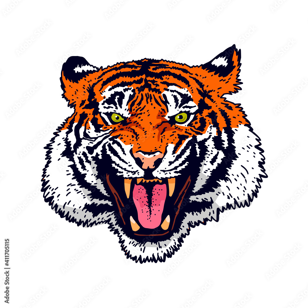 The grin of a tiger. Angry tiger face. Detailed drawing of a tiger. The symbol of the new 2022.