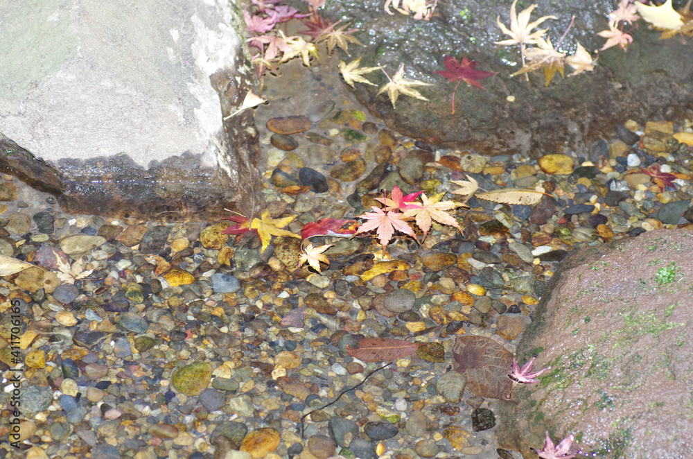 The fallen leaves in little stream The fallen leaves in little stream