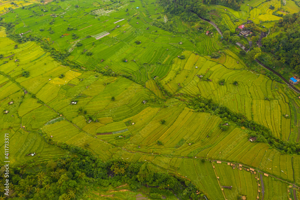 Fototapeta premium Terraced rice fields with small rural farms in Bali, Indonesia Top down overhead aerial birds eye view of lush green paddy field plantations on the hill