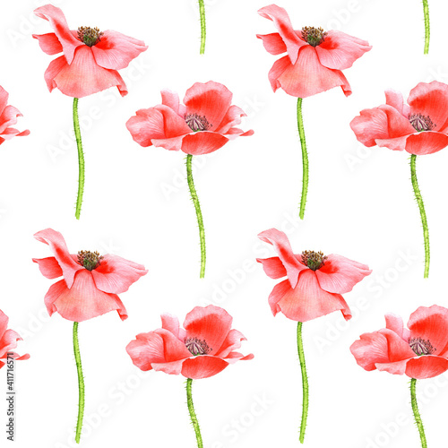 watercolor seamless pattern with drawing red poppy flowers