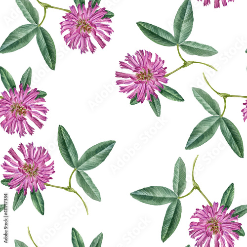 Seamless pattern with watercolor flowers of red clover