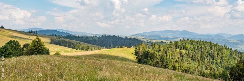panorama of mountains and meadows and coniferous forests.