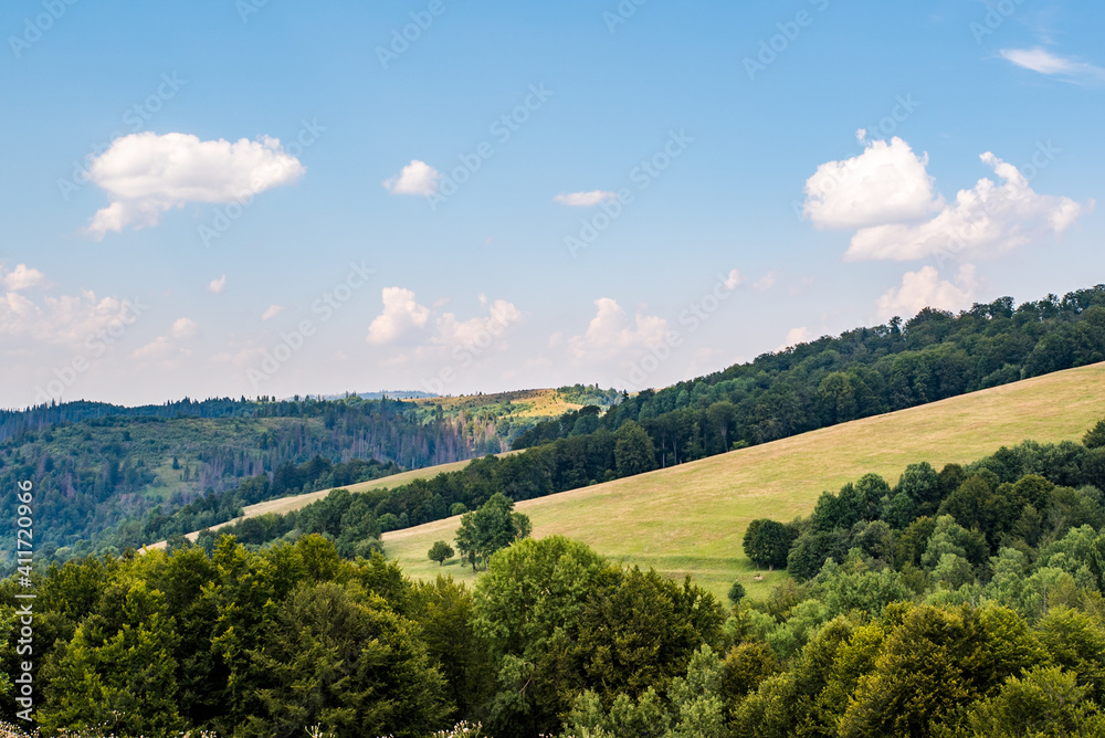 mountains are covered with forests and green meadows