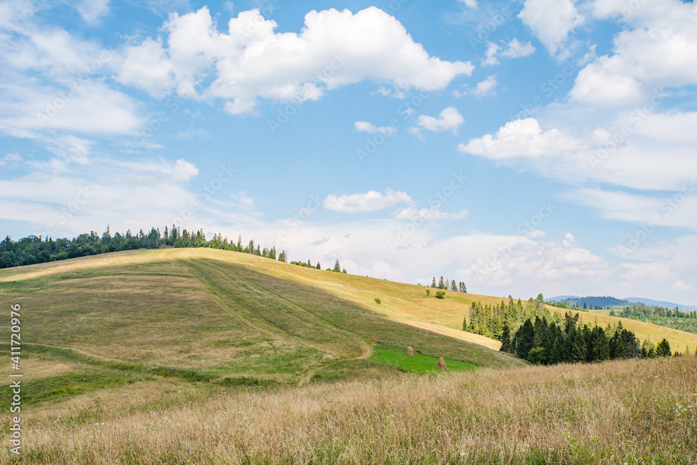 the mountains are covered with forests and meadows on top of the mountain.