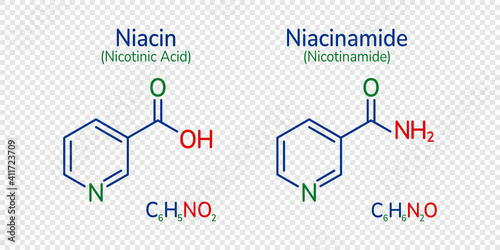 Niacin and niacinamide skeletal formula vector illustration. Nicotinamide, nicotinic acid molecule and simple text. Vitamin B3 image. Can use for medical, chemical cosmetic and scientific designs. photo