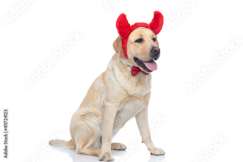 cute labrador retriever dog wearing devil horns