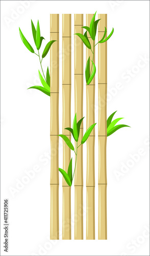 Bamboo with green leaves on a white background