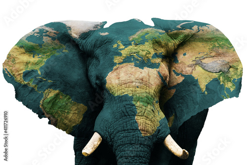 Fototapeta Naklejka Na Ścianę i Meble -  Earth concept, save the animals on planet. Isolated image of elephant with earth painted on skin. Creative composition of animal and earth. Elements of this image furnished by NASA .