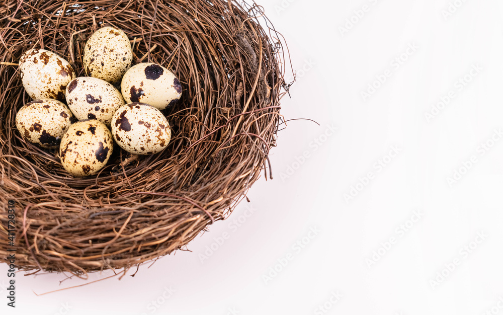 Bird's nest with small eggs on a white background.Copy space. Bird's nest with small eggs on a white background.Copy space.