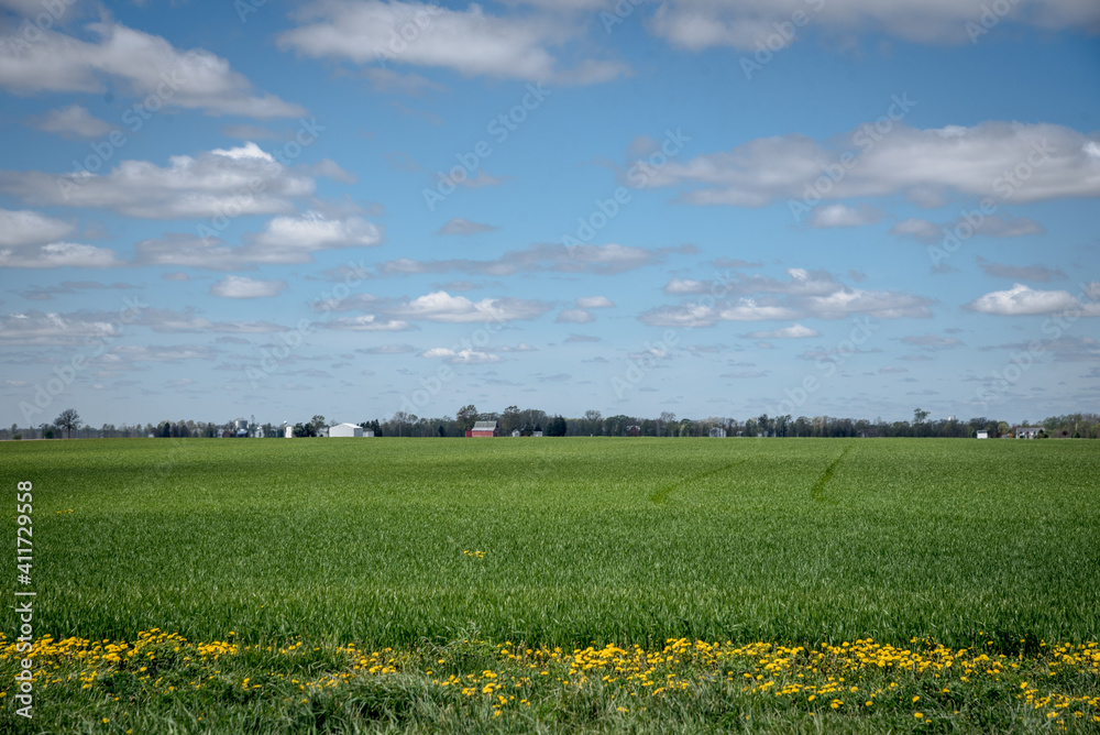 farmland field