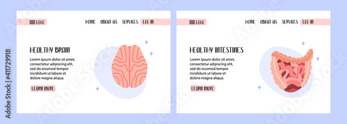 Human brain. Human digestive system. Gut, small, large intestine. Digestive tract. Diagnostics of diseases. Vector flat illustration. Perfect for banner design, landing page