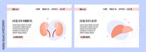 Human kidneys, urinary system. Human liver. Hepatology. Diagnostics of diseases. Vector flat illustration. Perfect for banner design, landing page