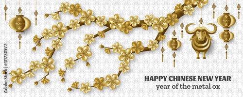 Happy Chinese New Year background with creative golden metal ox, sakura branches, hanging lanterns