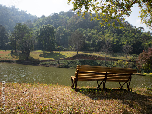 wooden bench beside pond in park