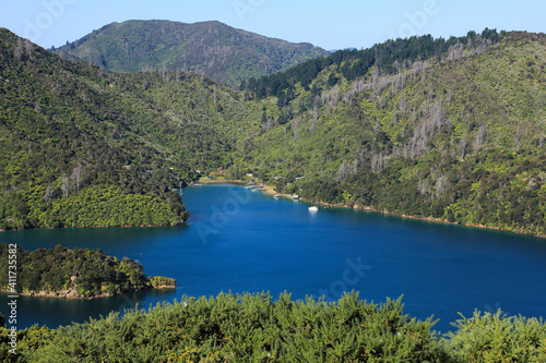 Blue bay in the Queen Charlotte Sound.