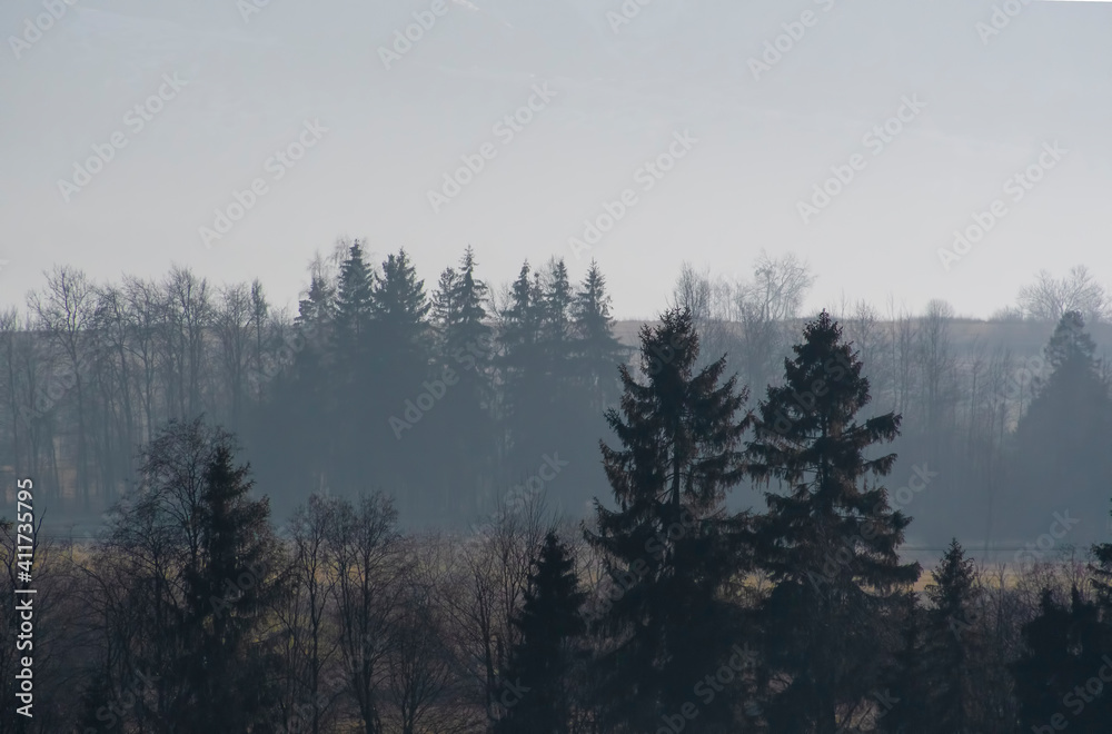 Hills seen from Poronin town, Poland. Spruce forest mixed with deciduous trees form a typical forest in Podhale region. Selective focus on the trees, blurred background.