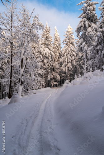 Winter mountain scenery with snow covered hiking trail, trees and blue sky with clouds