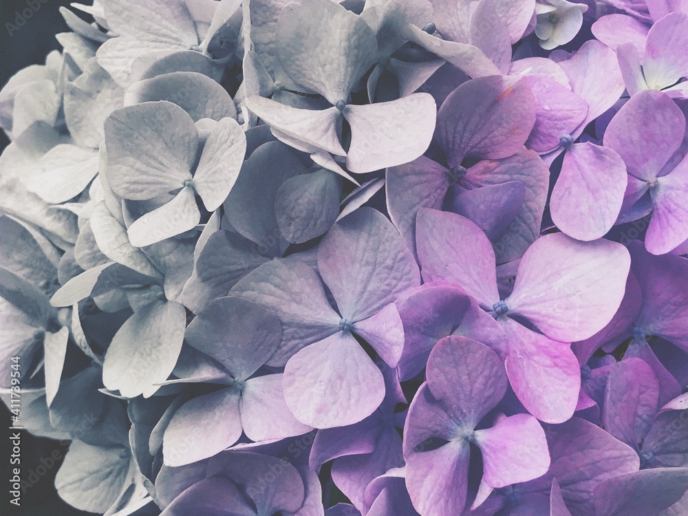 Flowers Flowers