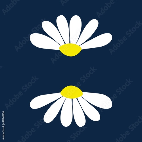 Chamomile daisy set on dark blue background with isolated chamomiles daisies. Vector illustration.