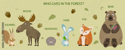 Illustration for children on the theme: "Who lives in the forest?"It can be used in children's educational books.