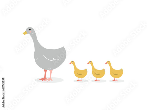 Goose with goslings isolated image on white background. Cute print. Gray goose and yellow goslings in cartoon simple flat style. Vector illustration.