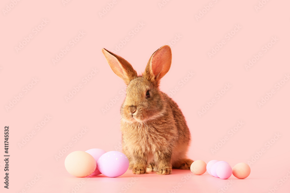 Fototapeta premium Cute fluffy rabbit with Easter eggs on color background