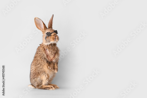 Cute fluffy rabbit with fun...