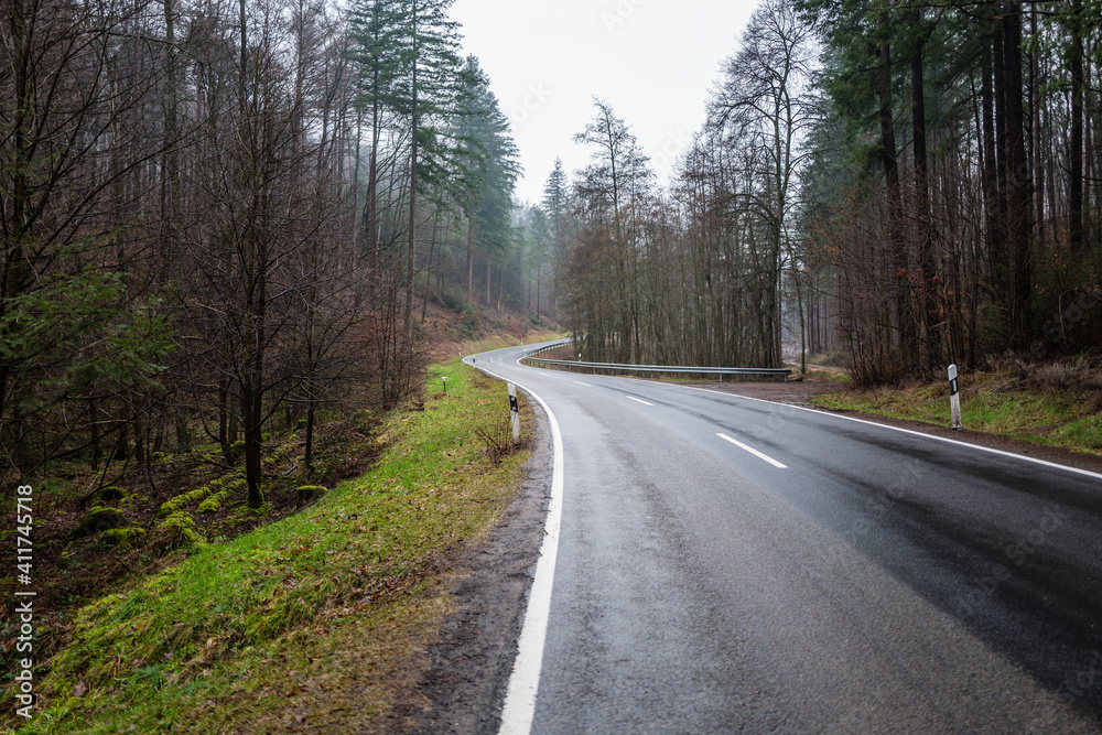 road in the forest